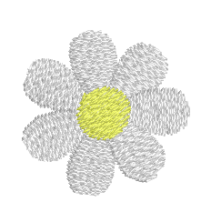 daisy ($12)
