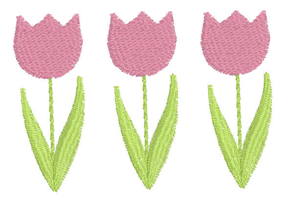 3 tulip