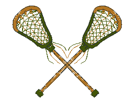 Lacrosse Sticks